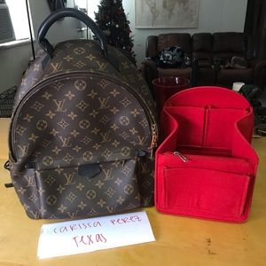 Louis Vuitton Palm Springs MM With Organizer